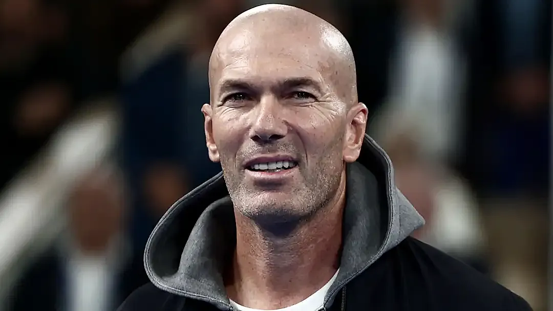 Zidane, Fransa'nın oyununa hayran